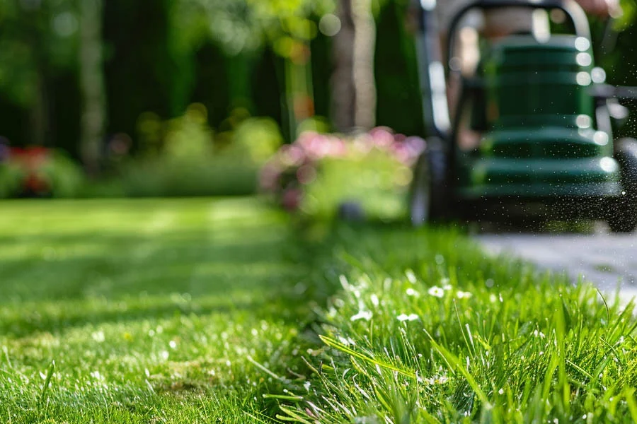 cordless self propelled lawn mowers